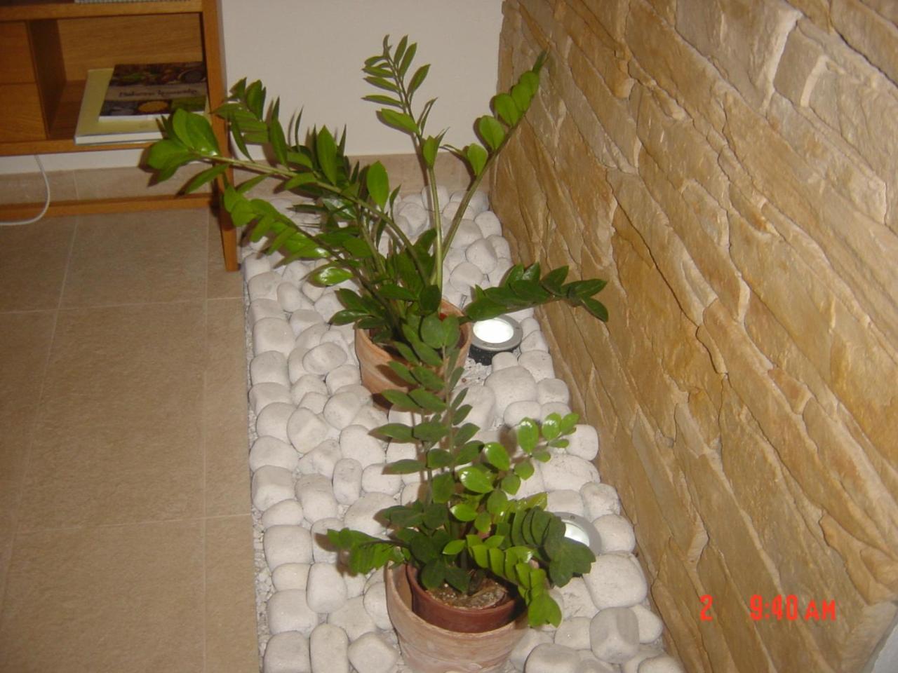 Apartments Vrdjan تسركنيتسا المظهر الخارجي الصورة